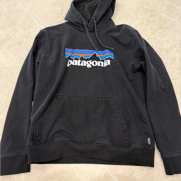 Patagonia Other - Patagonia Hoodie